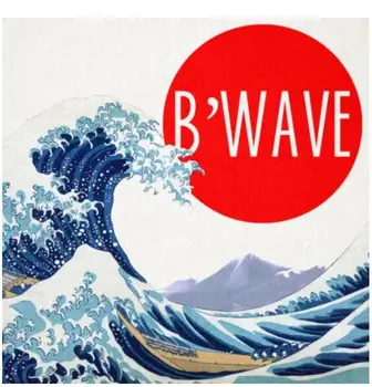 B'Wave DELUXE Max Maven esitatud Nick Locapo - MAGIC TRIKKE